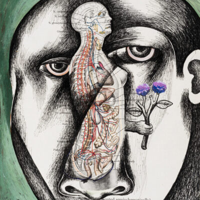 Maps-Of-The-Body-VI